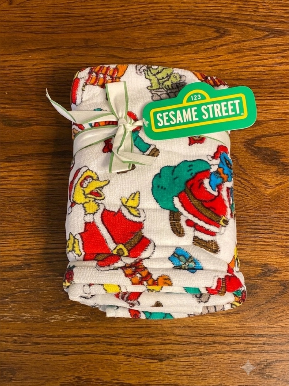 Sesame Street Christmas Holiday Hand Towels Set of 2 Elmo Big Bird NWT